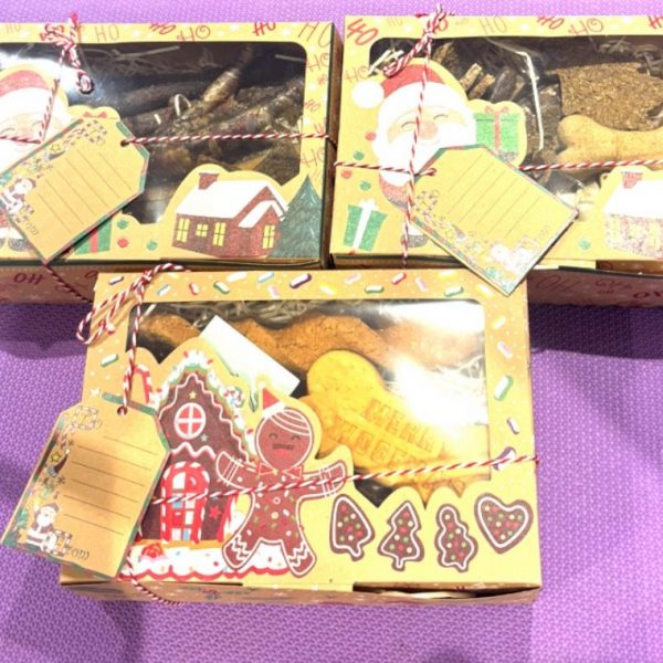 Xmas treat box large